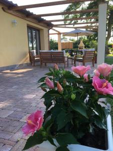 eine Terrasse mit rosa Blumen und einem Sonnenschirm in der Unterkunft Podere Gabry in Arena Metato