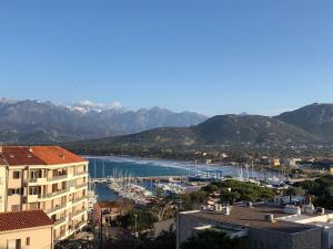 Blick auf einen Hafen mit Booten im Wasser in der Unterkunft Appartement vue mer - 2ch 2sdb - Parking - Vue splendide mer et montagne in Calvi + 16 Fotos
