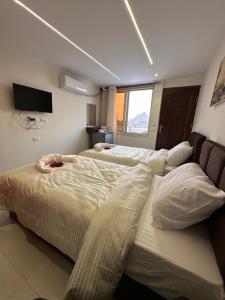 Voodi või voodid majutusasutuse Sun 3 Pyramids Inn toas