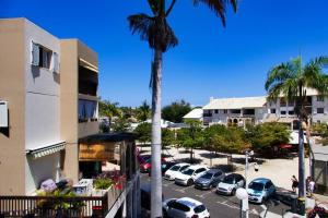 una palmera al lado de un estacionamiento con coches en Studio Centre-Ville Saint Gilles Les Bains, en Saint-Gilles-les-Bains