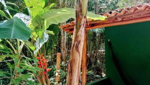 Um jardim em Chalés Guigó-Cumuruxatiba, sossego e privacidade