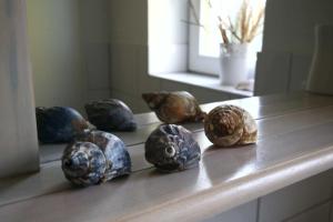 a group of seashells sitting on top of a counter at Seeadler 3 - Süssau in Süssau