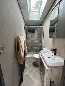 baño con lavabo, aseo y tragaluz en Corrie Fee Lodge, en Boat of Garten