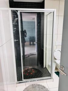 ウィントフークにあるShalom Apartment on independece 77 unit 102の浴室のケージ付きシャワー