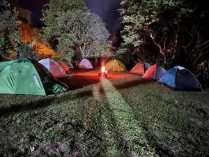 Fotografie z fotogalerie ubytování Mindo Garceta Sol v destinaci Mindo