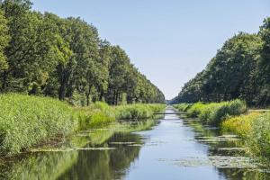 a river with trees on the sides of it at NINO-Boardinghouse 16 in Nordhorn +3 photos