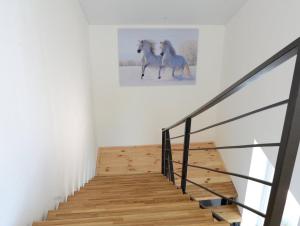 Fotografie z fotogalerie ubytování Артур v destinaci Berdychiv