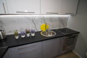 Kuchyň nebo kuchyňský kout v ubytování Kaldrma Guesthouse