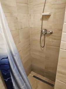 a shower stall with a shower curtain in a bathroom at Casa Nico in Someşu Cald