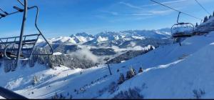 冬天的Cocon Alpin - Praz de Lys Sommand