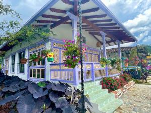Zahrada ubytování Hotel Lago Valdivia + 37 fotografií