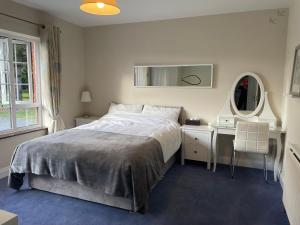 a bedroom with a bed and a desk and a mirror at No 1 Willow Lodge in Skephubble