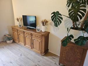 a tv on a wooden cabinet with a potted plant at Giertensmühle Mesenich in Langsur