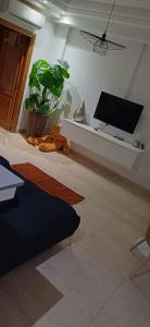 TV a/nebo společenská místnost v ubytování Appartement 1ere étage jardin carthage tunis
