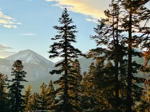 a group of trees with a mountain in the background at Mountainback 116 LoftCorner in Mammoth Lakes