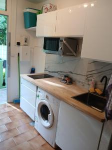una cucina con lavatrice e lavandino di Studio zen a Sainte-Luce