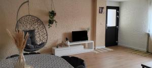 a living room with a tv and a mirror at Appartement spacieux 75m2 in LʼHôpital