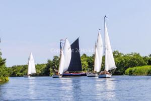 Gallery image of Gorgeous Caravan With Decking In Breydon Water Holiday Park, Ref 10081B in Belton