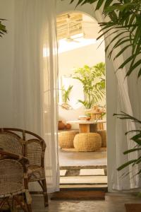 Zahrada ubytování Surf Lodge Madiha