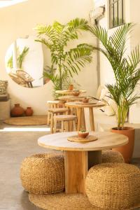 Foto sihtkohas Matara asuva majutusasutuse Surf Lodge Madiha galeriist