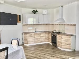 a kitchen with a sink and a stove at Дом в Боровом in Borovoye +6 photos