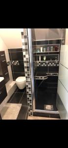 a bathroom with a shower with a toilet in it at Maison calme avec piscine privée in Argenteuil +8 photos