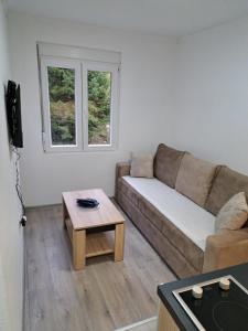 TV a/nebo společenská místnost v ubytování Villa JELENA - Guest House Nela