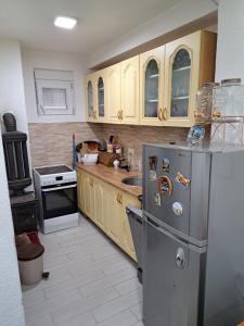 Kuchyň nebo kuchyňský kout v ubytování Villa JELENA - Guest House Nela