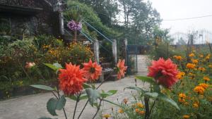 a bunch of flowers in a garden with a fence at Tranquil Retreat Homestay in Ghum