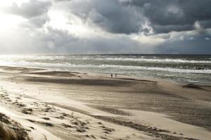 リンケビングにあるCharmerende skovhytteの海沿いの海岸を歩く2名