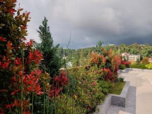 a garden with colorful flowers on a roof at 'Highland Escape' Condo Studio Unit in Baguio