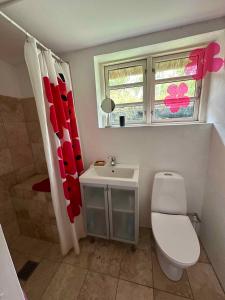 Vannituba majutusasutuses Cozy, Thatched Cottage With Modern Décor +30 fotot