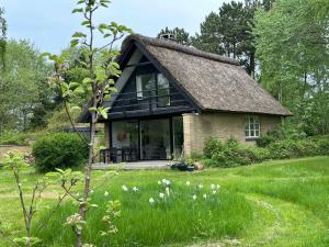 Aed väljaspool majutusasutust Cozy, Thatched Cottage With Modern Décor
