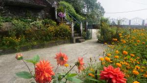 Zahrada ubytování Tranquil Retreat Homestay