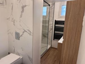 ein weißes Badezimmer mit Dusche und Toilette in der Unterkunft Appart cozy dans le centre-ville, 6 pers in Neuilly-Plaisance
