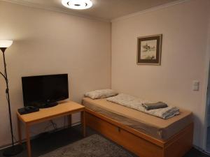 TV a/nebo společenská místnost v ubytování Family Appartment