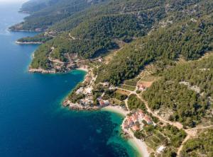 eine Luftaufnahme einer kleinen Insel im Wasser in der Unterkunft Holiday Home Jadranka in Gdinj