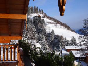 Chalet Sonnberg v zimě