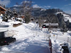 Chalet Sonnberg v zimě