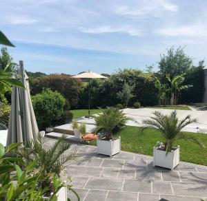 a patio with three potted plants and an umbrella at Le chalet sous les arbres in Chambray-lès-Tours