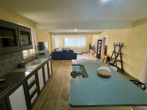 フリック・アン・フラックにあるResidence Barbera Apartmentsの広いキッチン(犬のいる中央に位置)