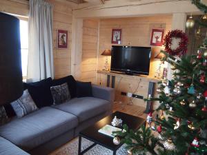 TV a/nebo společenská místnost v ubytování Chalet Sonnberg