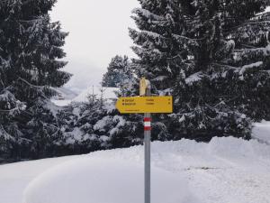 Chalet Sonnberg v zimě