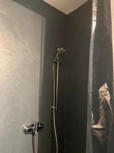 a shower stall in a bathroom with a painting on the wall at Ferienwohnung Fürst in Ehringshausen