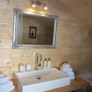 Koupelna v ubytování Chalet Sonnberg