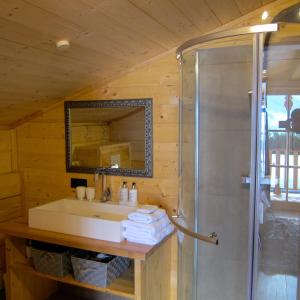 Koupelna v ubytování Chalet Sonnberg + 37 fotografií