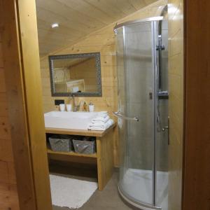 Koupelna v ubytování Chalet Sonnberg