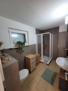 a bathroom with a shower and a toilet and a sink at Ferienwohnung im Himmelreich in Jena