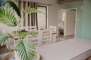 鲸湾港Lagoon Chalets的花瓶里的植物,放在房间里桌子上