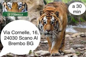Fotografie z fotogalerie ubytování Villa 1 v destinaci Cassano dʼAdda